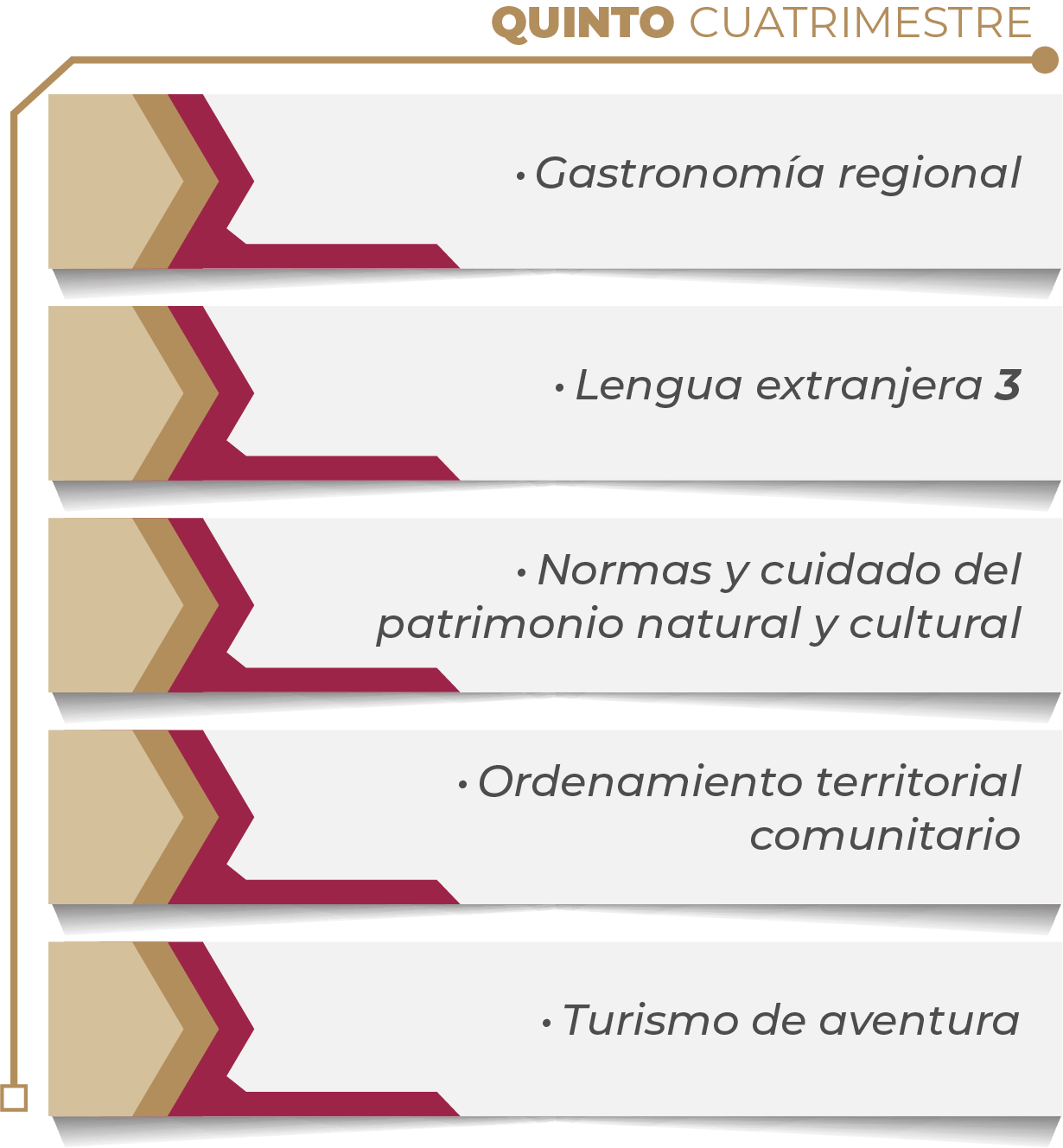 MAPA CURRICULAR SOFTWARE